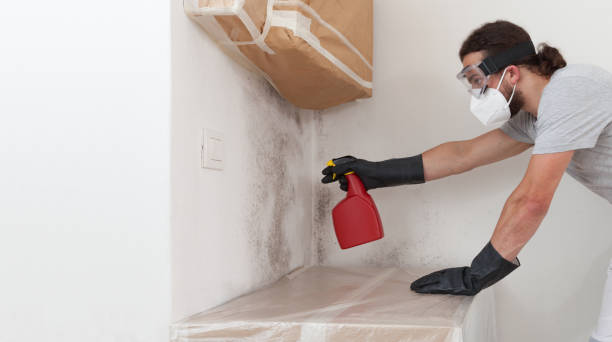 Professional Crawl Space Mold Remediation technician working in Leck Kill, PA