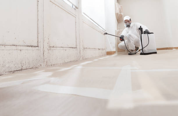 24/7 Emergency Crawl Space Mold Remediation experts in Leck Kill, PA