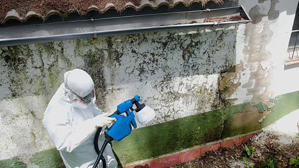Top rated local Crawl Space Mold Remediation specialists in Leck Kill, PA